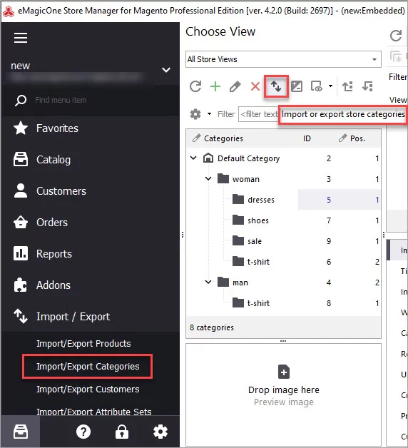 Import Export Categories with Store Manager
