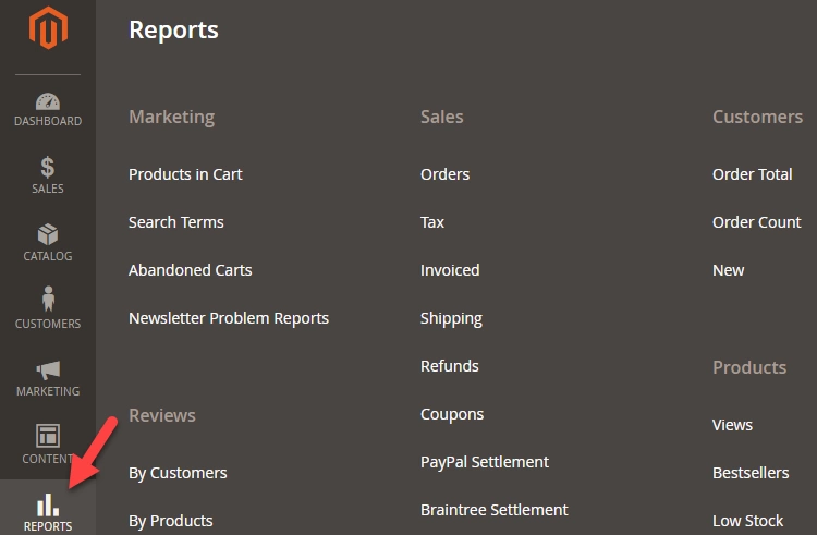Magento 2 Reports Tutorial reports-generation-in-magento-2