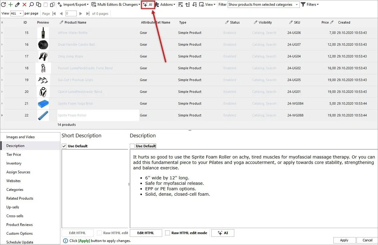 Selected Magento Products for Description Translation with Gemini