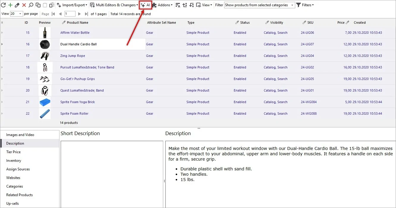 AI Option for Short Description Generation for Several Magento Products