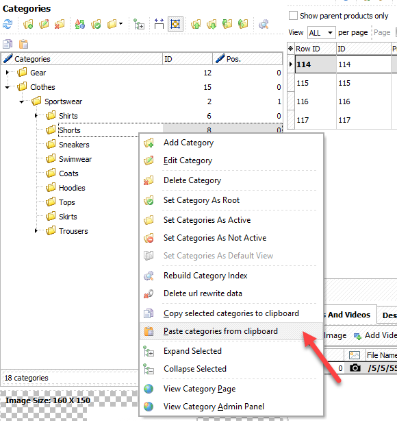 Paste selected Magento 2 categories