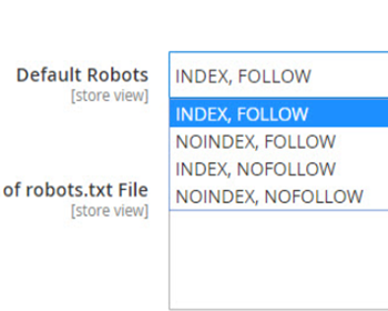 How to Configure Magento 2 robots.txt file