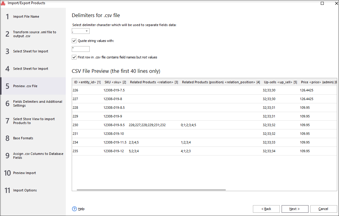 Select delimiters and preview the file with Magento 2 related products