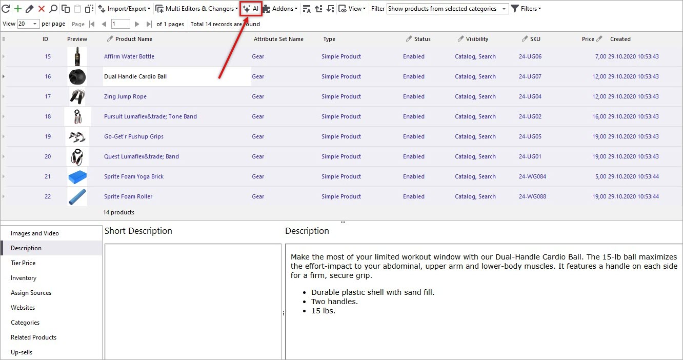 AI Option for Short Description Generation for Several Magento Products