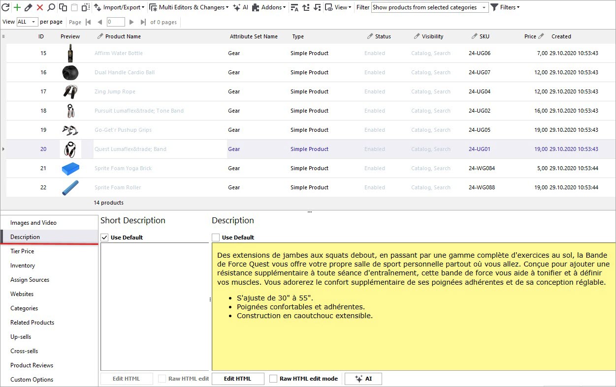 Magento Product Description Translated with Gemini