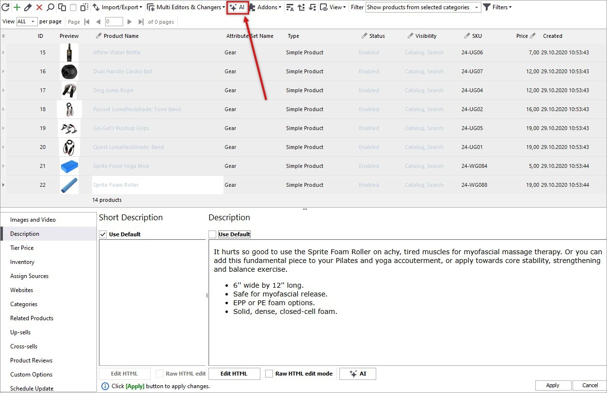 Selected Magento Products for Description Translation with Gemini
