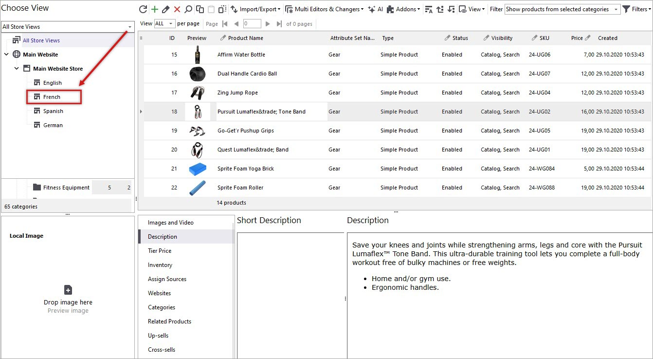 Store View for Magento Product Description Translation with Gemini
