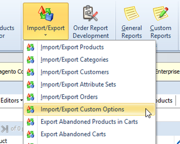 export custom options via store manager tutorial