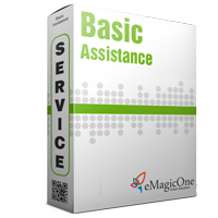 Basic Assistance Service